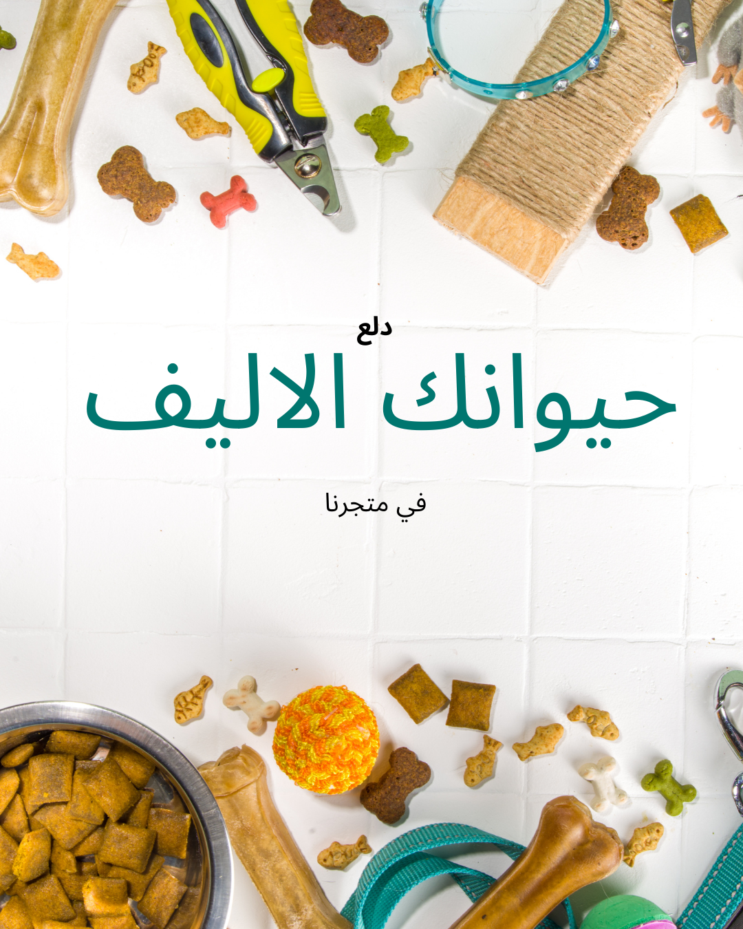 منتجات حيوانية